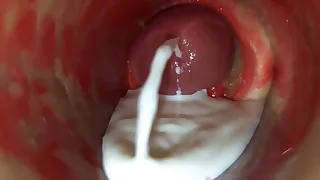 Sex Gay Porn 63